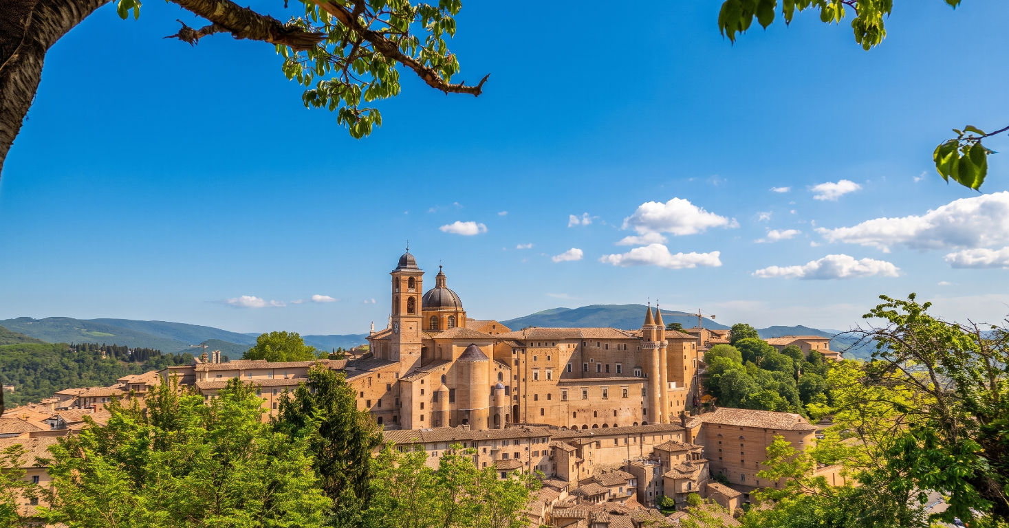 Urbino