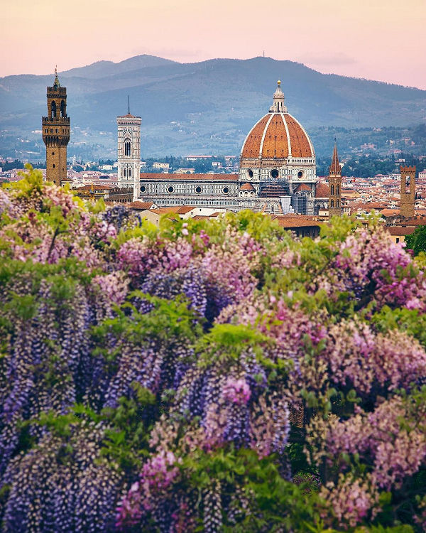 UNESCO reis door Toscane Florence
