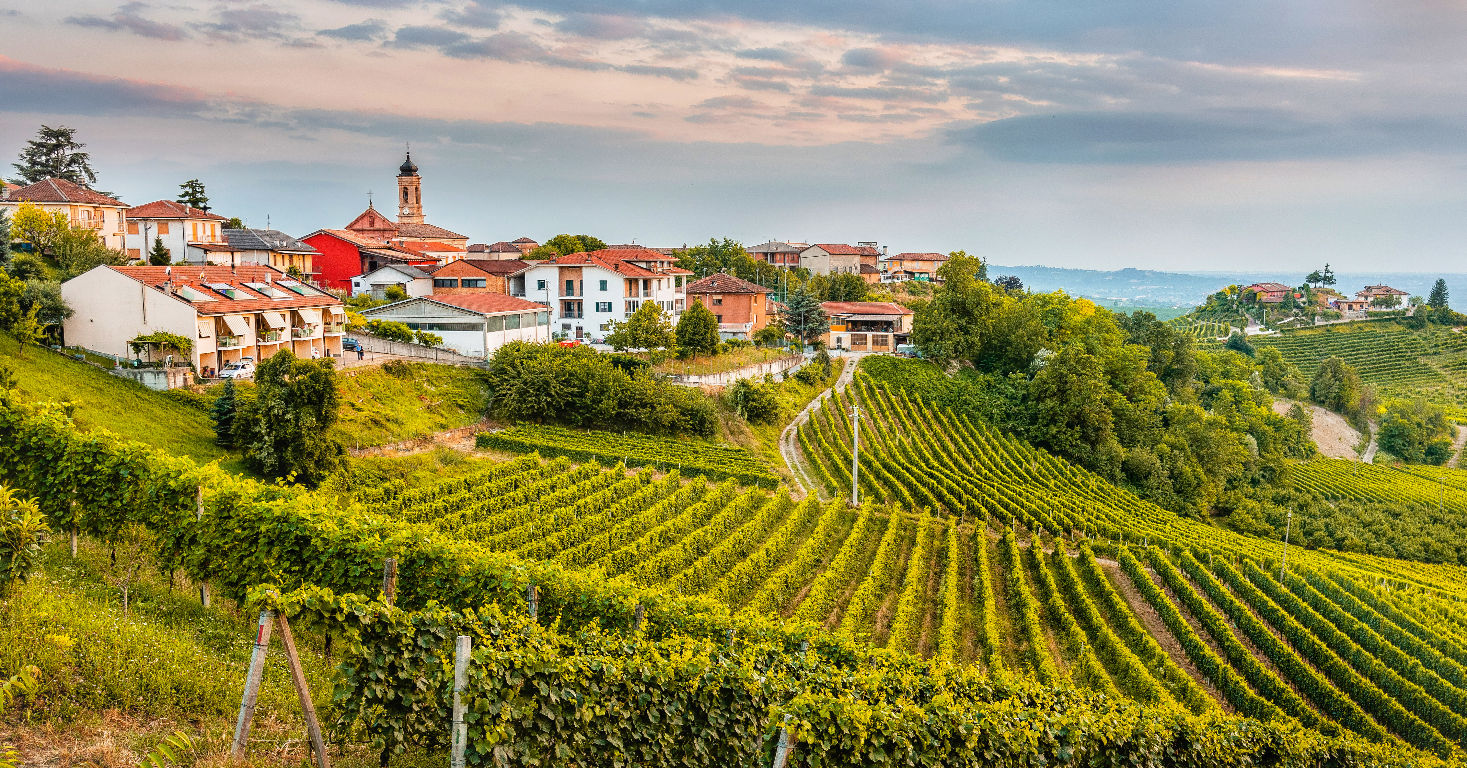 Wijnranken en heuvels van Le Langhe in Piemonte