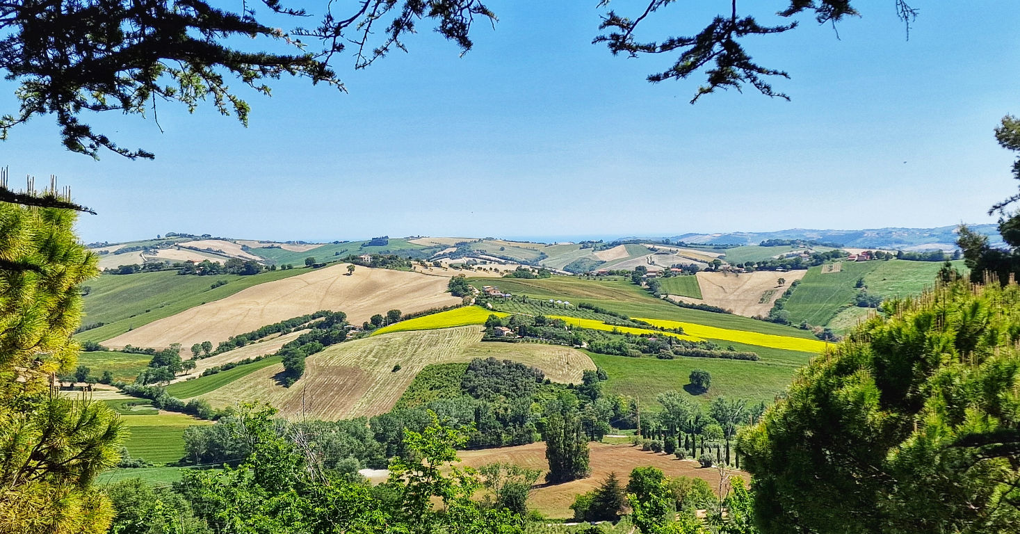 Panorama op de heuvel van Le Marche